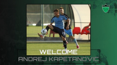 welcome kapetanovic website