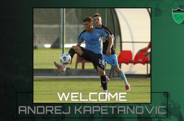 welcome kapetanovic website